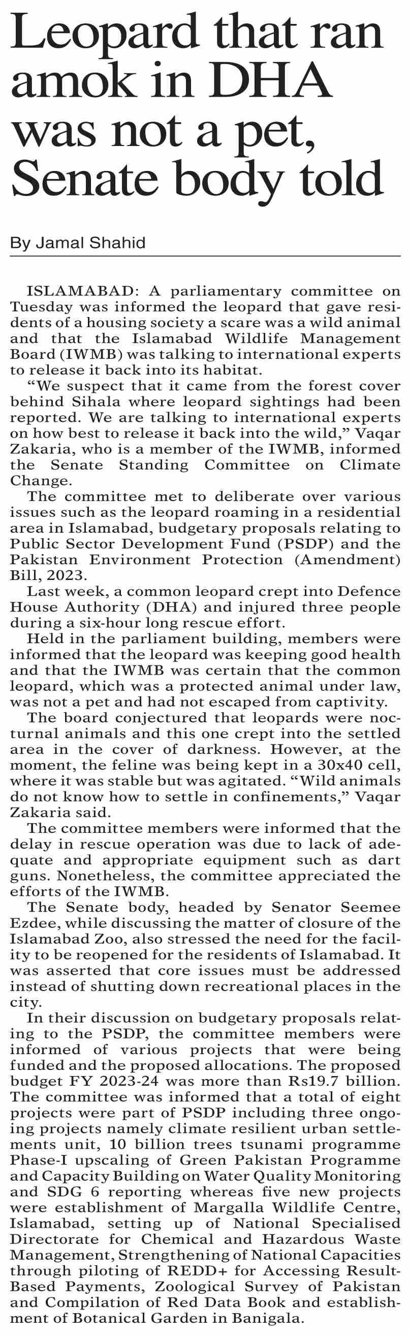 dawn-epaper-feb-22-2023-leopard-that-ran-amok-in-dha-was-not-a-pet