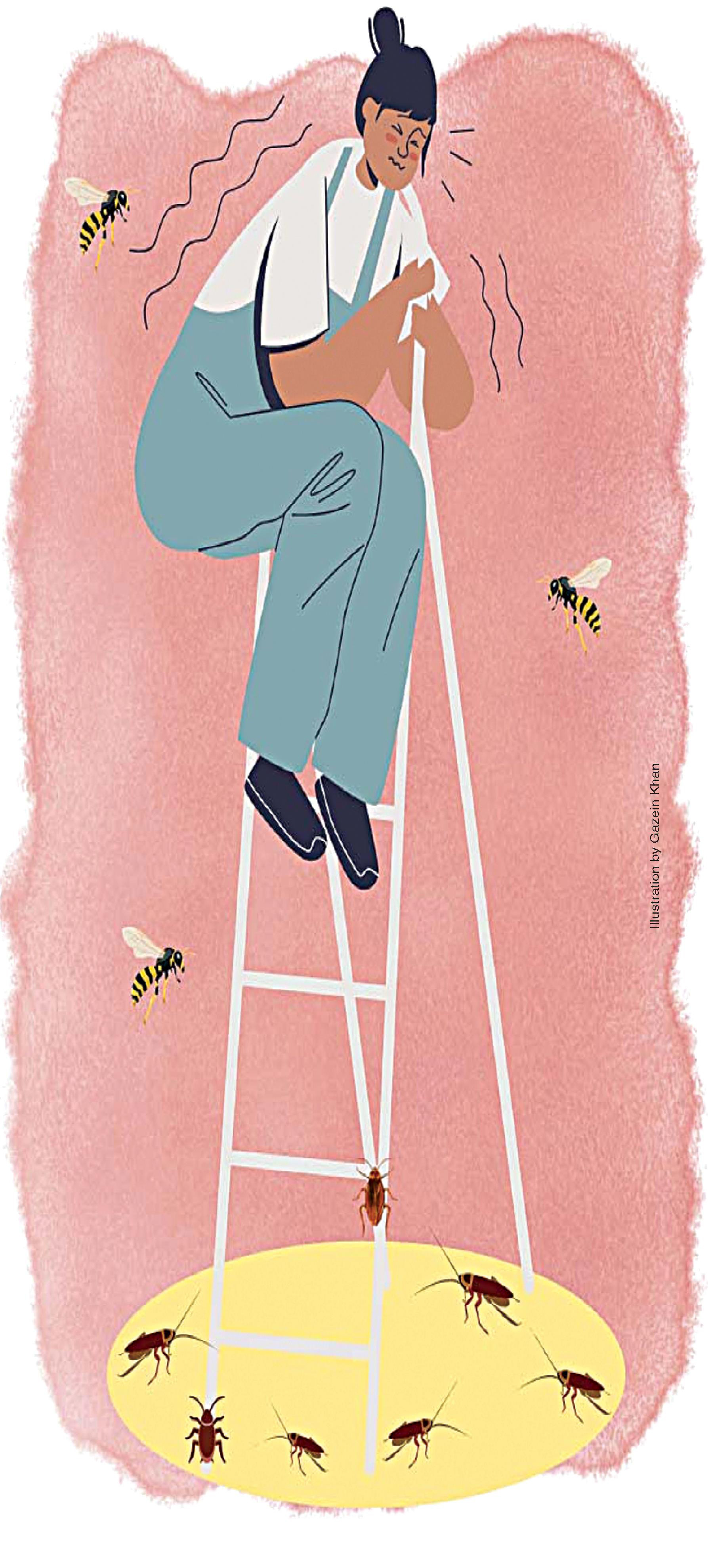 Dawn-ePaper | Mar 28, 2026 | The secret life of insects in the urban world